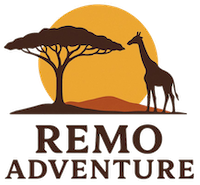 remo_logo (1)